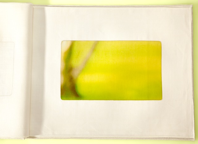 Lone Tree Lux 40x24cropTyellow