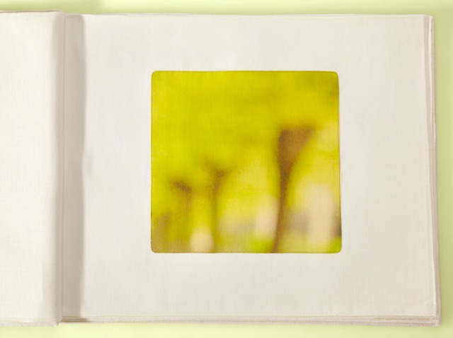 Spring Green Trees 22 ND 39x40tcrop Finalyellow