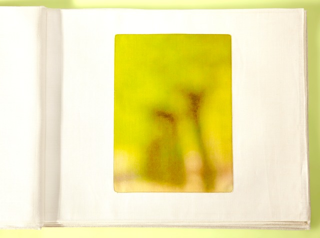 Tree Line ND 40x29cropTfinalyellow