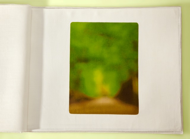 Tree Path Luxembourg Gardens 40x29cropYfinal