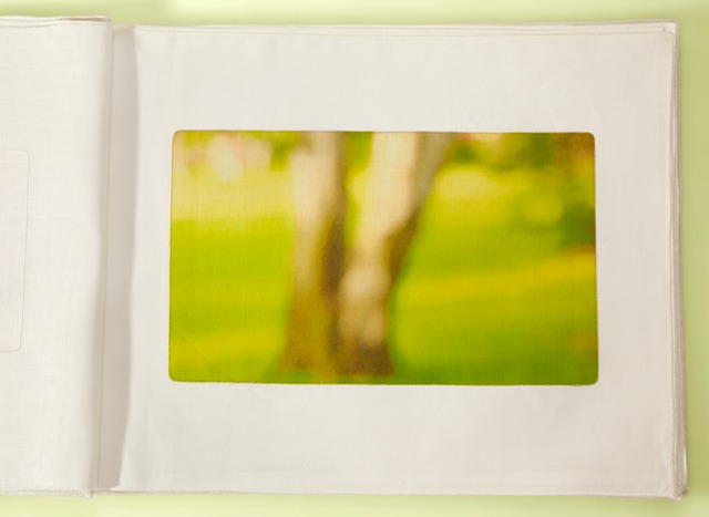 Tree trunks Lux 24x28cropTyellow