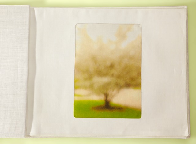 White Tree Plantes 40x28cropYfinal